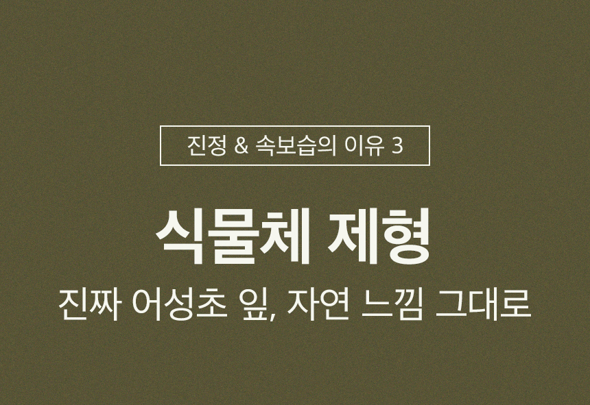 舒緩保濕去暗粒~韓國 One Thing Houttuynia Cordata Serum 魚腥草精華液 - 30ml