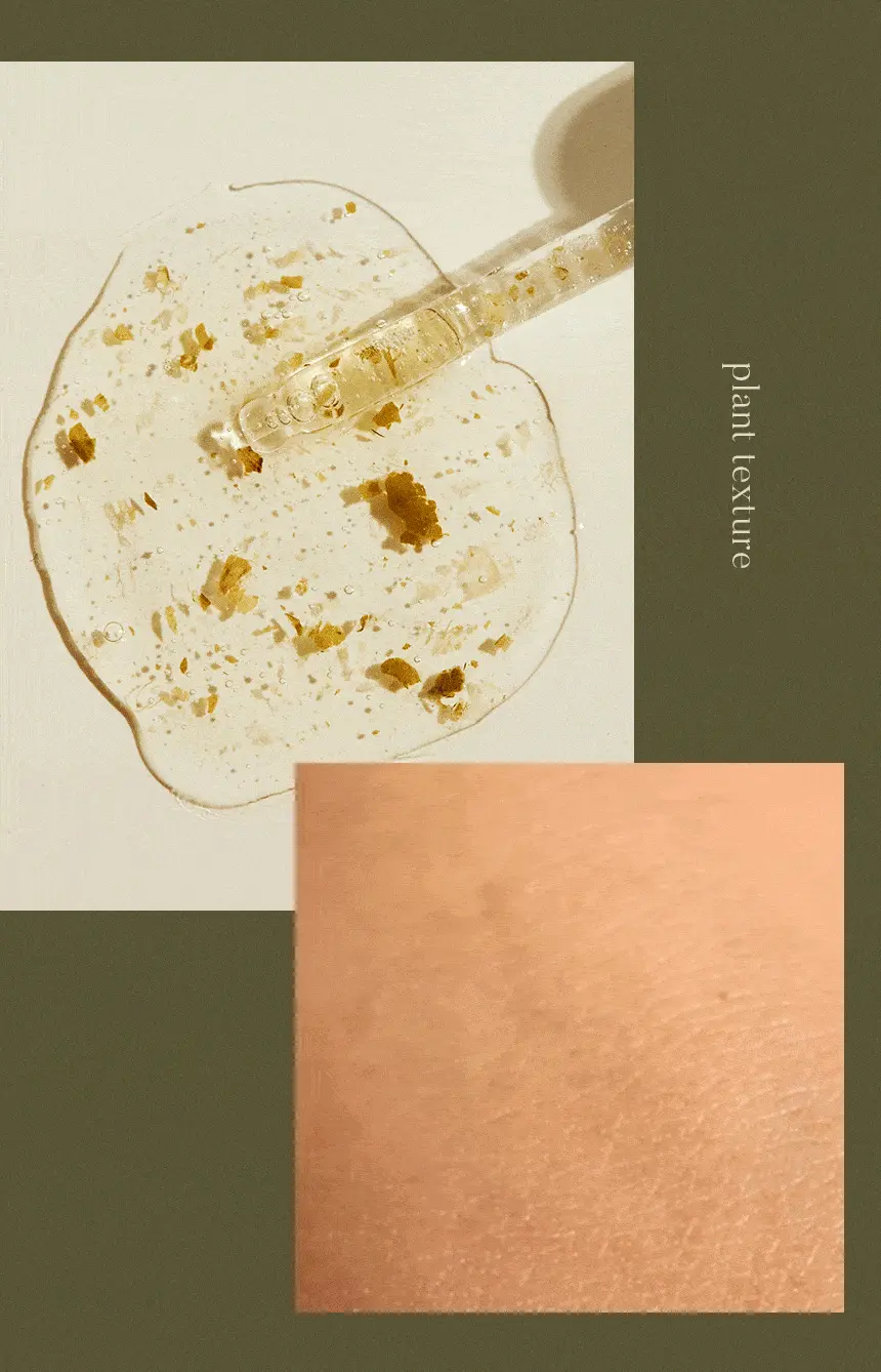 舒緩保濕去暗粒~韓國 One Thing Houttuynia Cordata Serum 魚腥草精華液 - 30ml