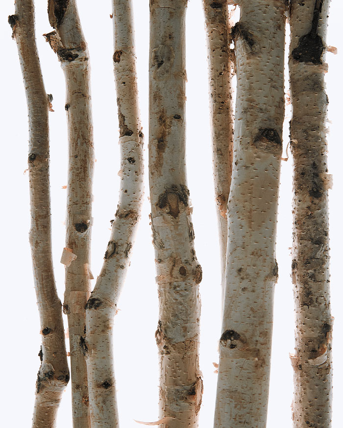 韓國 ChaHong Re-hydra Mist 順滑深層修護鎖水保濕噴霧 - 250ml