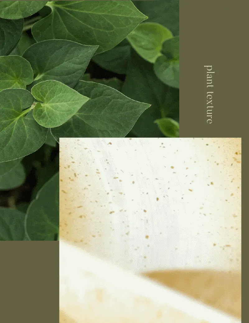 韓國 One Thing Houttuynia Cordata Clarifying Facial Cleanser 魚腥草淨膚潔面乳 - 150ml