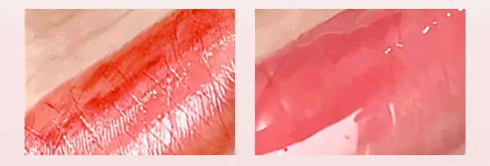 豐盈果凍唇Get👄!韓國 Heart Percent. Dote On Mood Dewy Melting Lipstick 點綴心情豐露滋潤唇膏 - 5色選擇
