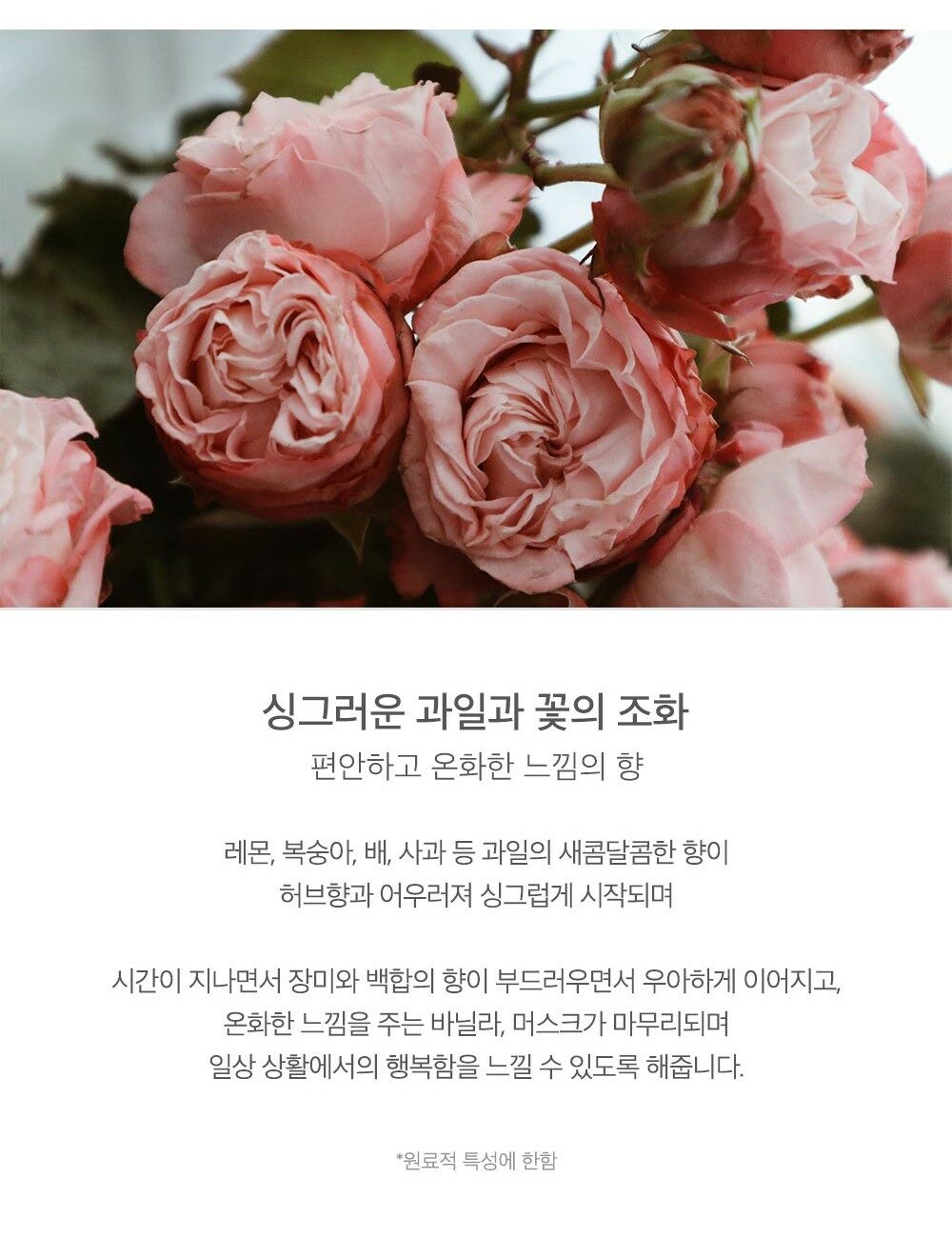 【新升級添加雙重積雪草修護成份】韓國 JennyHouse Style Curling Serum 積雪草曲髮造型精華 - 150ml