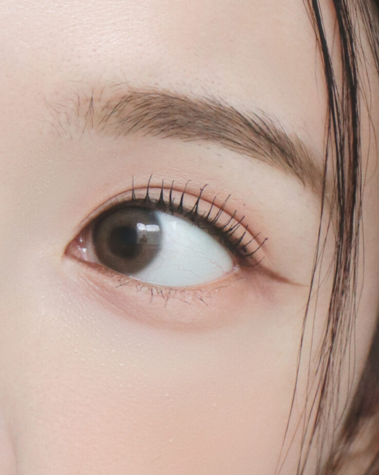 韓國 RULIDIA Detail Eye Brush 精細眼妝眼線掃2件套裝