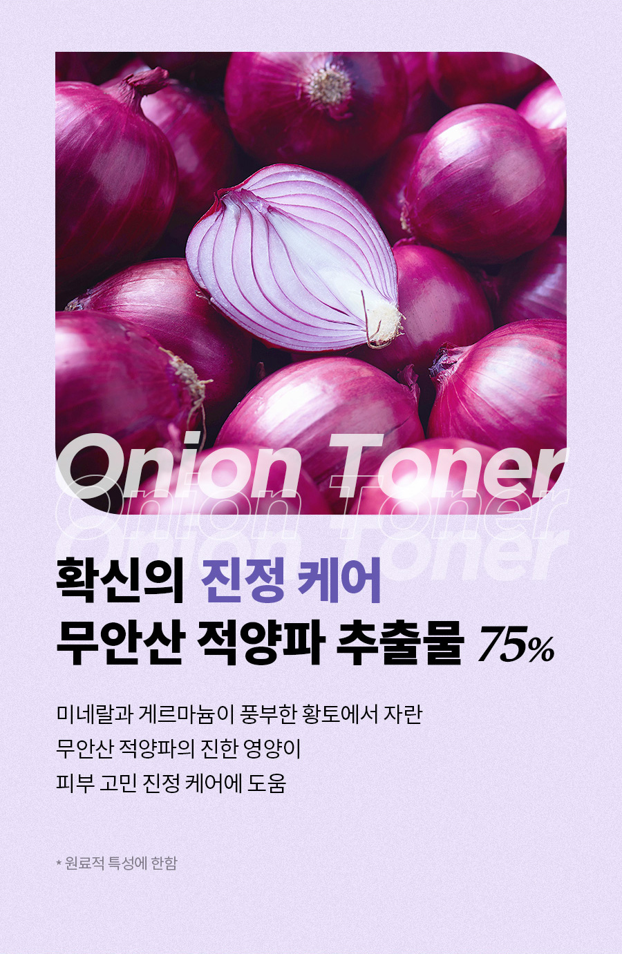 韓國 isntree Onion Newpair Essence Toner 紫洋蔥精華爽膚水 - 200ml