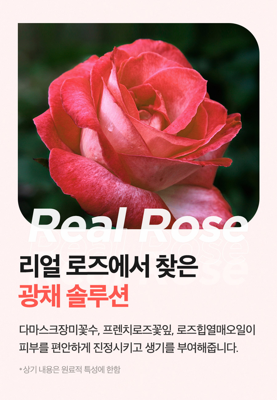 韓國 isntree Real Rose Calming Mask 玫瑰舒緩面膜 - 100ml