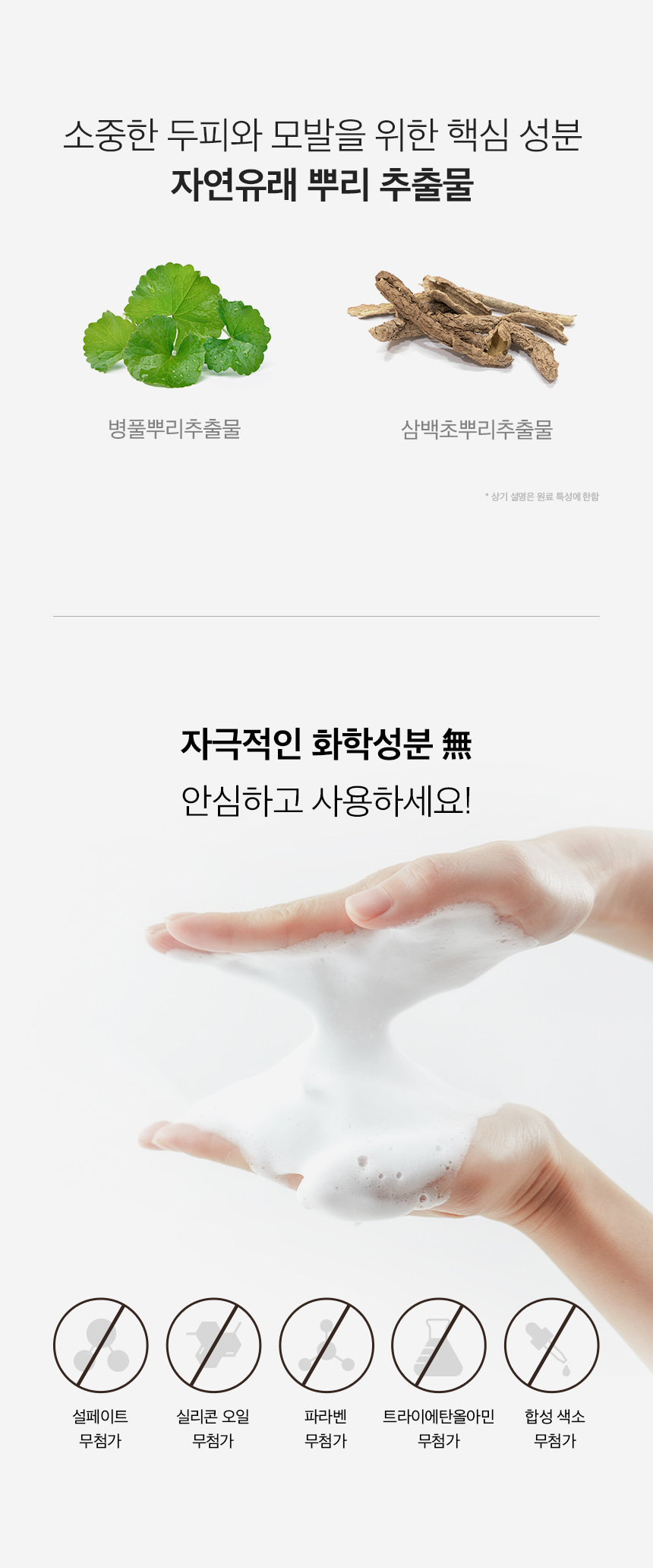 韓國 CURLYSHYLL Root Remedy Normal and Dry Scalp Shampoo 髮根頭皮護理洗髮露(中性至乾性) - 330ml