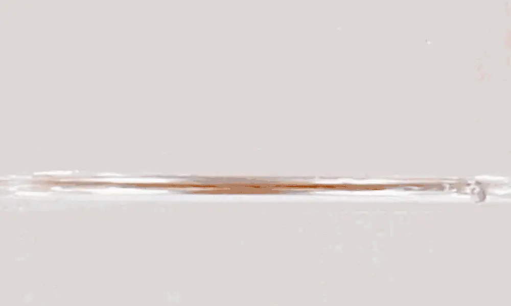 韓國 Green Monster Detox 低卡無糖排毒腸便乳酸菌康普茶(檸檬紅茶/蜂蜜西柚/百香果/紅石榴) - 4種口味選擇