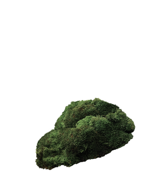 韓國小眾貴婦級 Moss Hand Cream 護手霜 - #Pause 30ml