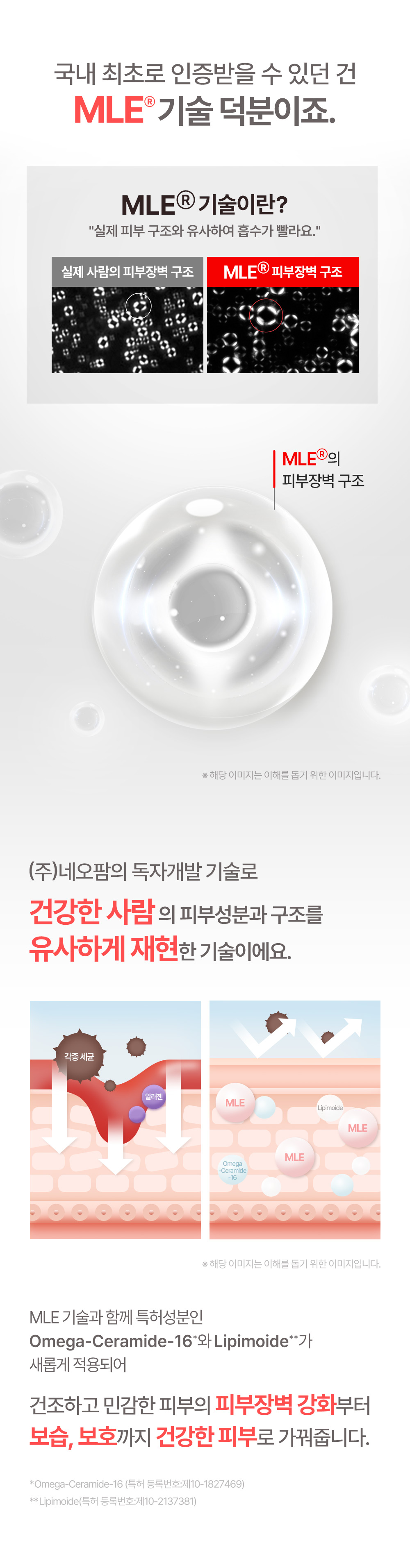 修復肌膚屏障~推孕婦嬰兒敏感肌~韓國 ATOPALM MLE Cream 面及身體保濕修護霜 - 100ml