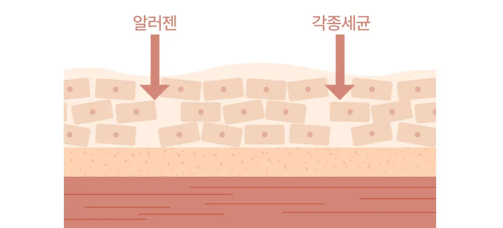 韓國 ATOPALM Top To Toe Wash 溫和沐浴露- 300ml