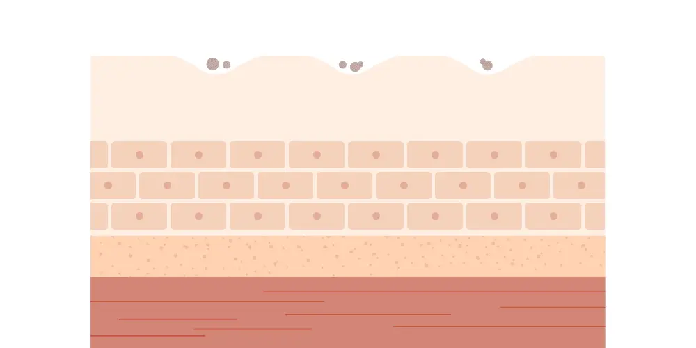 韓國 ATOPALM Top To Toe Wash 溫和沐浴露- 300ml