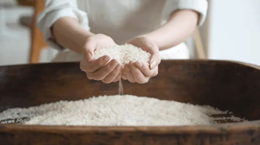 溫和淡印亮膚~韓國 Clean Beauty 品牌 HeveBlue【🏆GlowPick No.1】Milk Rice Liposome Shot Whitening Cream 牛奶米脂體注射美白面霜