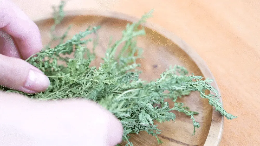 超溫和卸妝清黑頭~ 韓國 HeveBlue Black Yuja Bean Milk Cleanser 天然黑豆青柚豆奶溫和保濕卸妝潔面乳 - 300ml