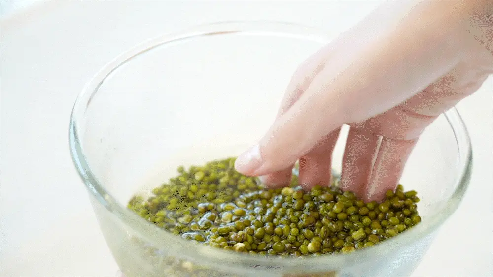 超溫和卸妝清黑頭～ 韓國 HeveBlue Black Yuja Bean Milk Cleanser 天然黑豆青柚豆奶溫和保濕卸妝潔面乳 - 300ml