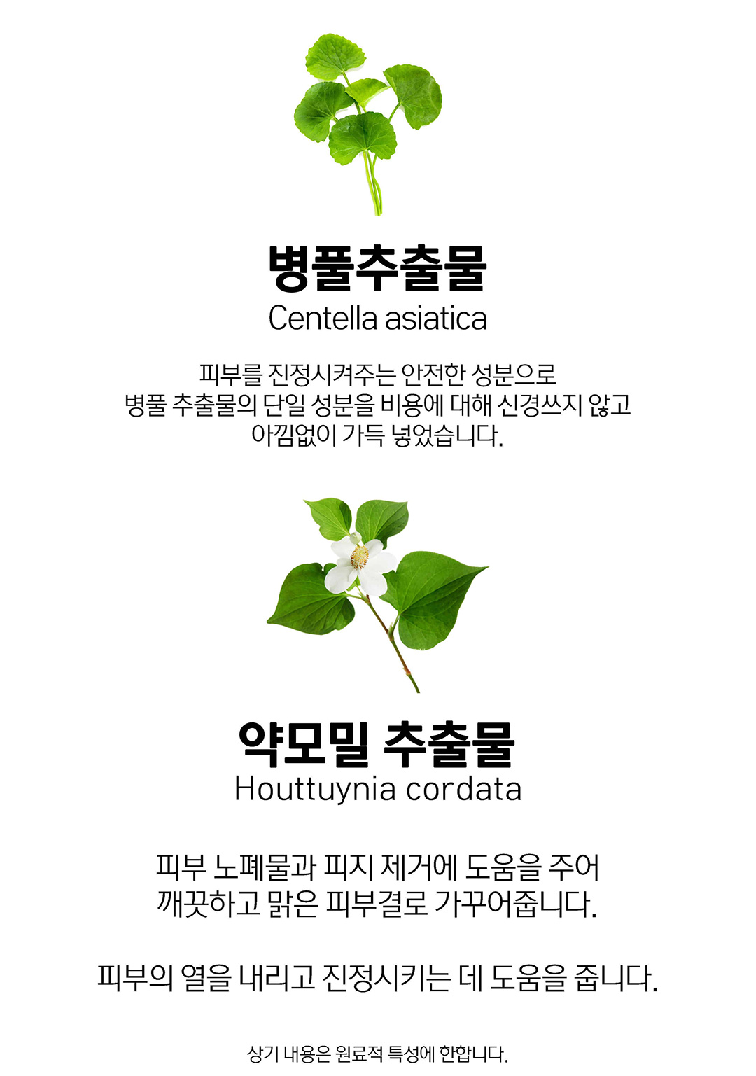 韓國Clean Beauty品牌 HeveBlue【🏆 GlowPick No.1】Pentaberry Panthenol Repair Concealer 五莓泛醇修護純素水潤遮瑕液 - 3色選擇