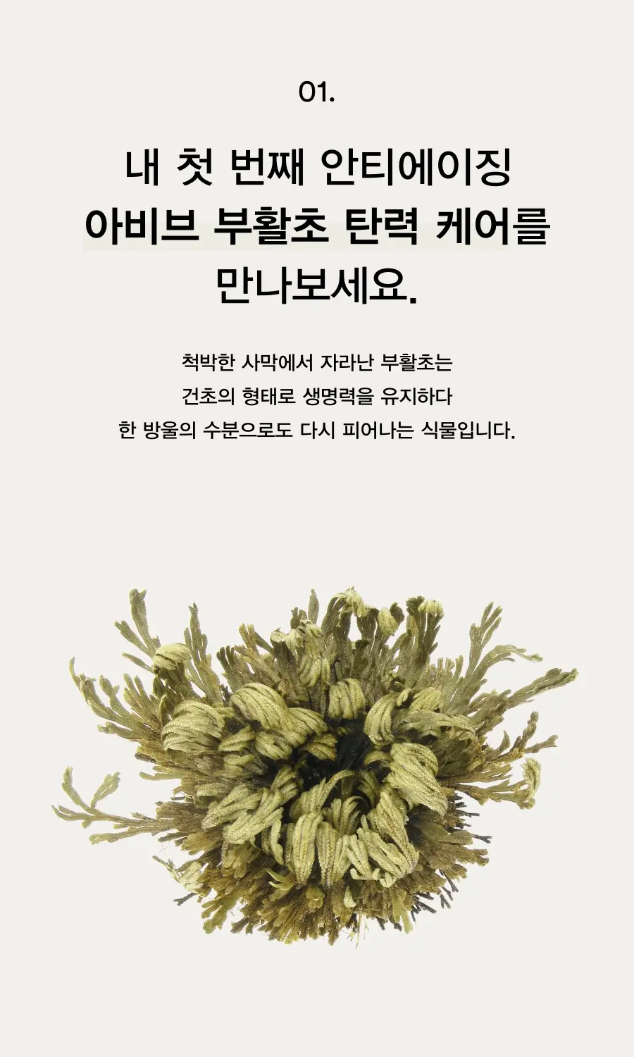 韓國 ABIB Jericho Rose Collagen Pad Firming Touch 復活草膠原蛋白抗老回彈保濕爽膚棉片 - 60片裝