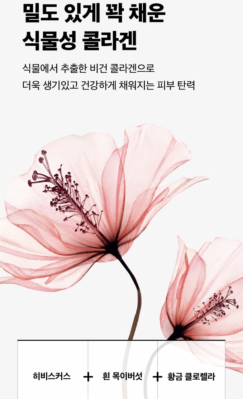 🏆回彈抗老～韓國Mediheal Collagen Essential Mask 3X膠原蛋白彈力緊緻抗老精華面膜 10片裝 - 2種選擇