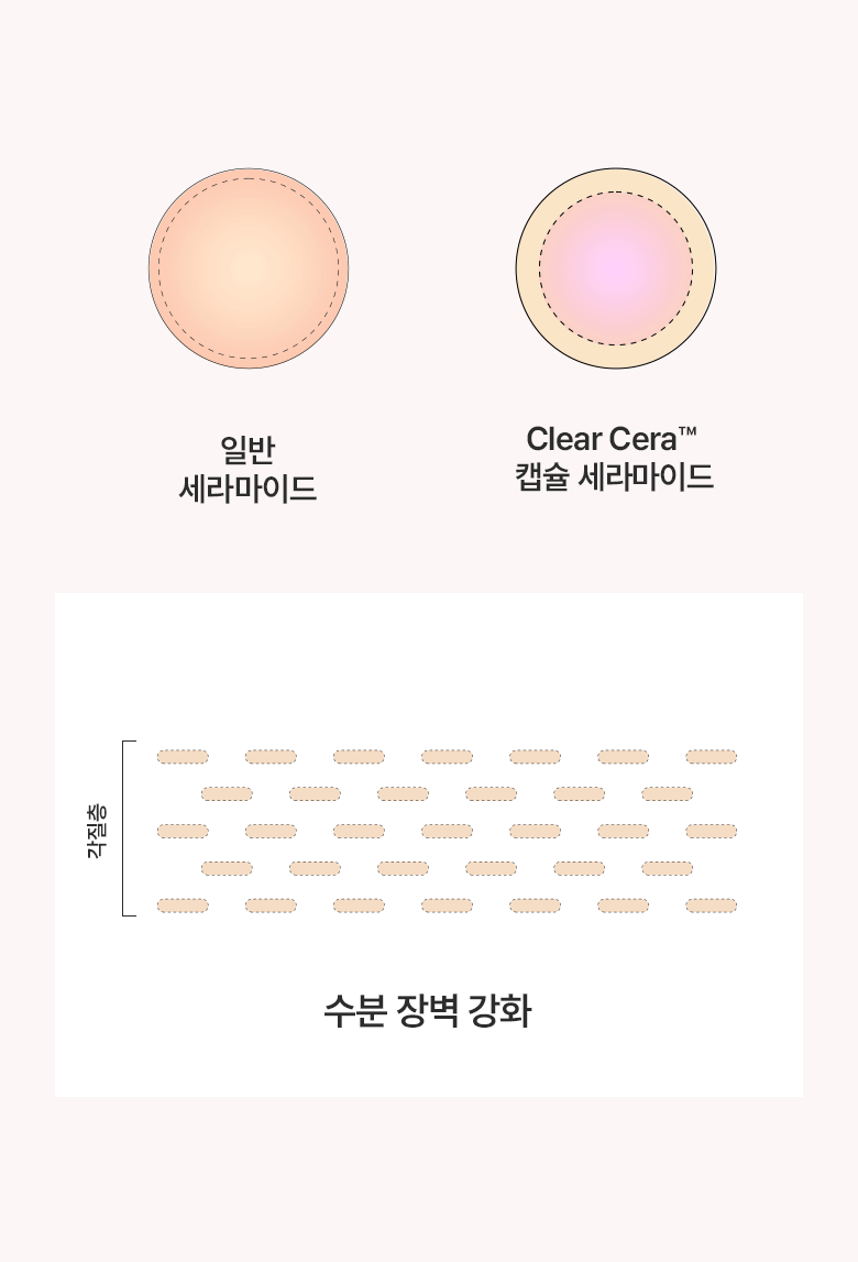 妝前Toner防脫妝！韓國 ANUA Peach 77% Naiacin Essence Toner 🍑保濕提亮美肌活力桃花精華爽膚水 - 250ml
