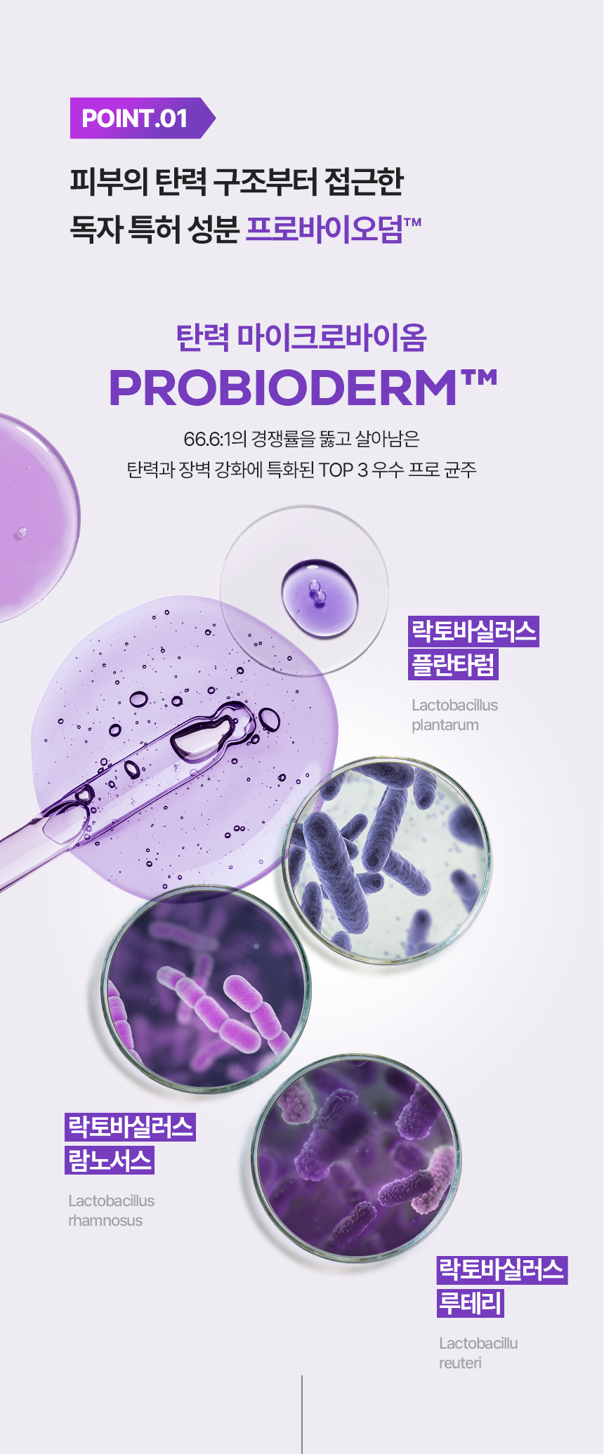 24年新強效升級版～提拉效力強2.2倍⭐ 韓國 Bio Heal BOH Probioderm 3D Lifting Cream 3維立體提拉彈力抗皺抗老益生菌多勝肽面霜