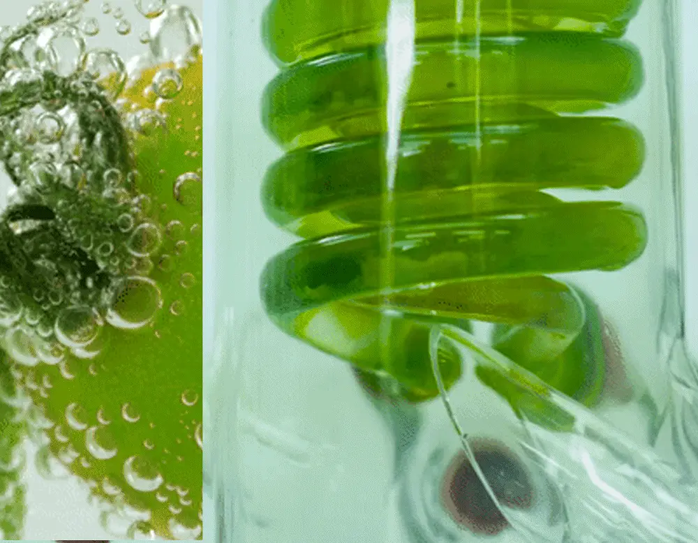 韓國 Sungboon Editor Green Tomato Pore Lifting Ampoule+ 綠番茄緊緻收毛孔安瓶精華 - 30ml
