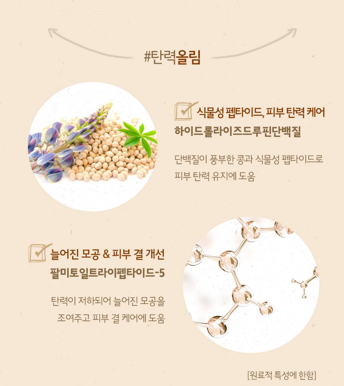 韓國 SkinFood Acorn Pore Peptide Daily Mask 橡子專利肽🌰收毛孔回彈🌰日用早安面膜 - 30片裝
