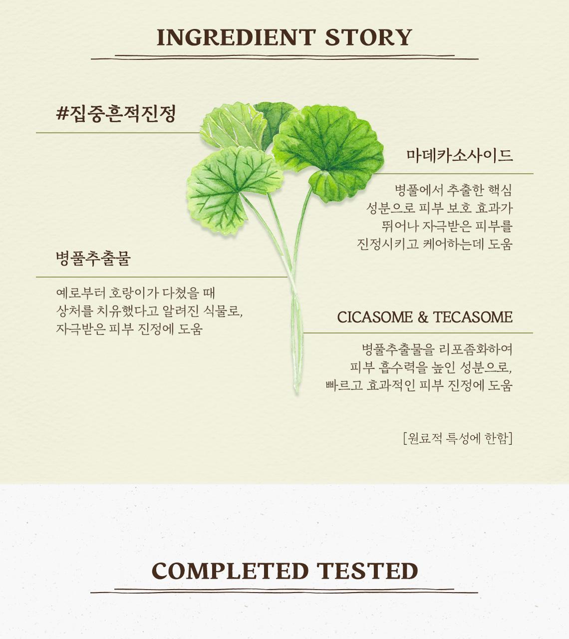 韓國 SkinFood Potato Madecassoside Soothing Pad 馬鈴薯積雪草舒緩爽膚棉片 - 60片裝