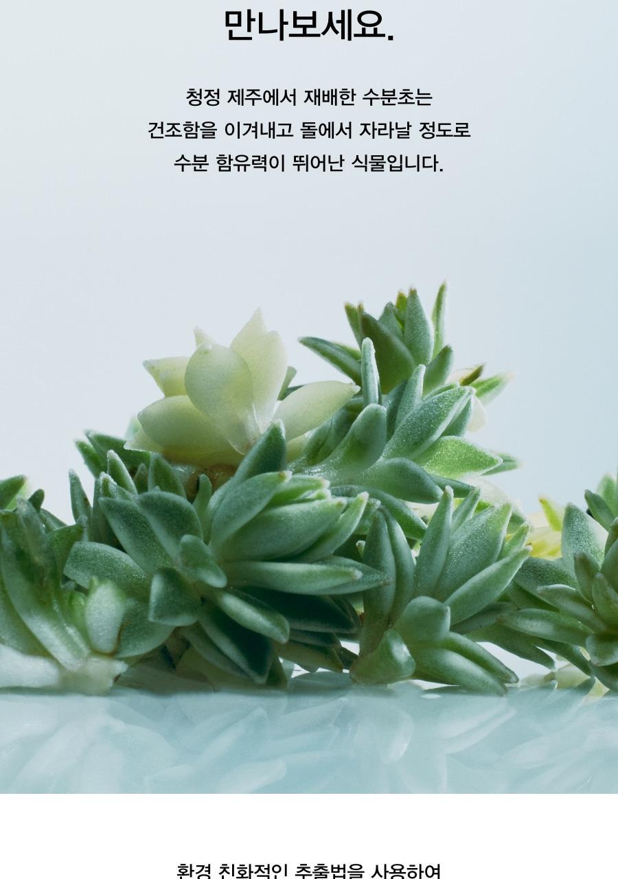 韓國 ABIB Sedum Hyaluron Crème Hydrating Pot 高純度透明質酸清爽保濕啫喱面霜 