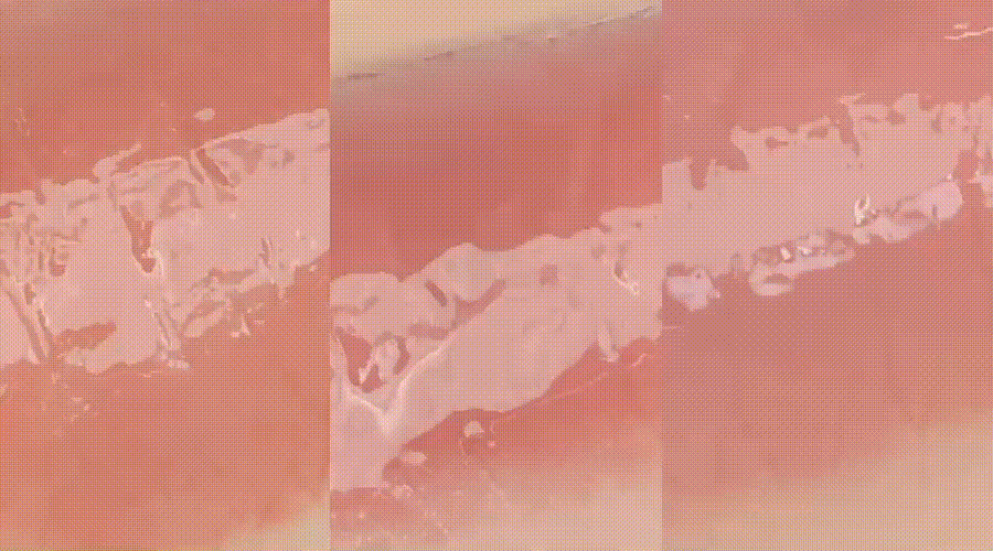 韓國 Romand Juicy Lasting Tint 果汁玻璃水光唇釉 #Spring Fever 系列 #37-39 - 3色選擇