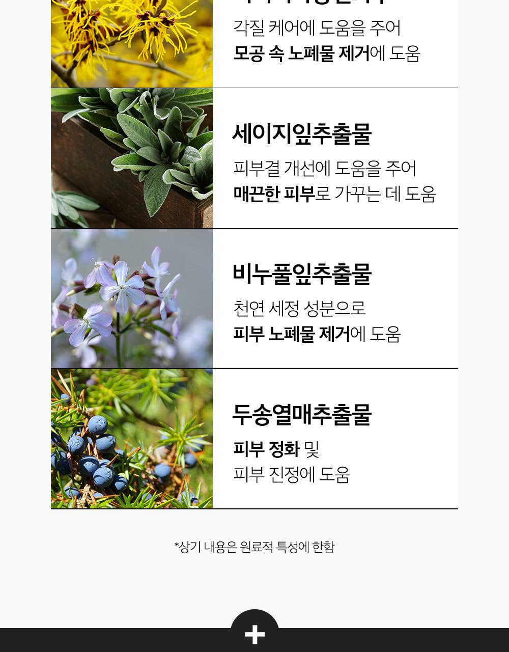 韓國Sungboon Editor Blackhead Melting Clear Pad 溶解黑頭導出鼻頭深清棉片 - 30片裝