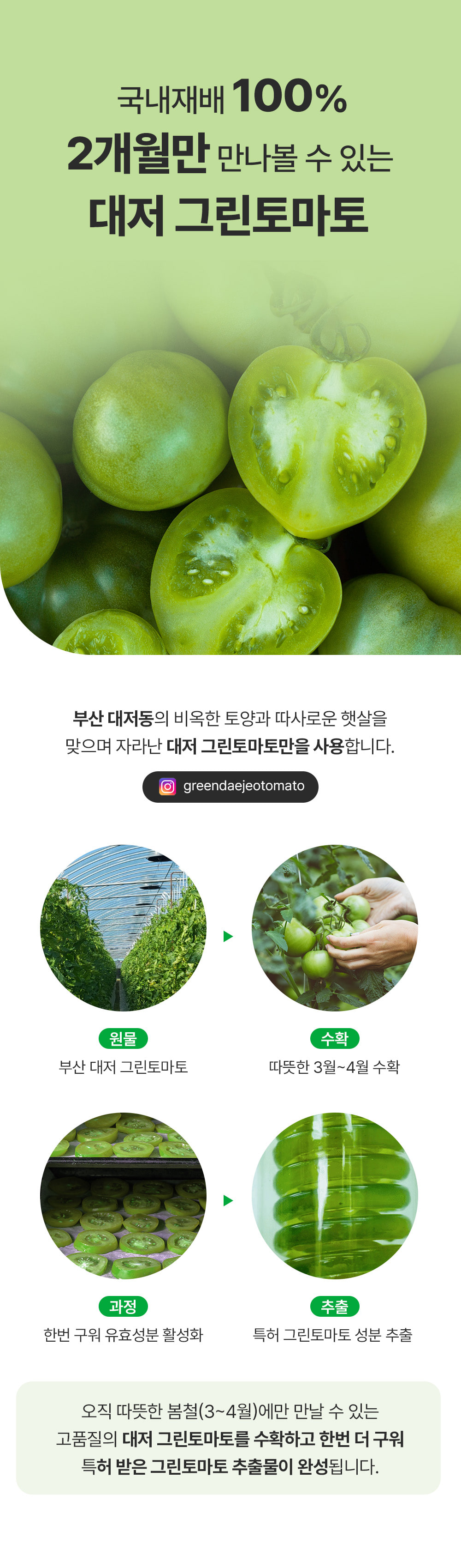 韓國Sungboon Editor Green Tomato Pore Lifting Ampoule Mask 綠番茄緊緻收毛孔安瓶精華面膜 1盒10片裝 - 2種選擇