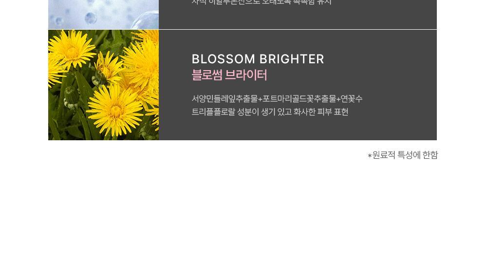 去黃去暗沉~韓國 Too Cool For School Artclass Blanc De Base 妝前調色打底霜 - 2色選擇