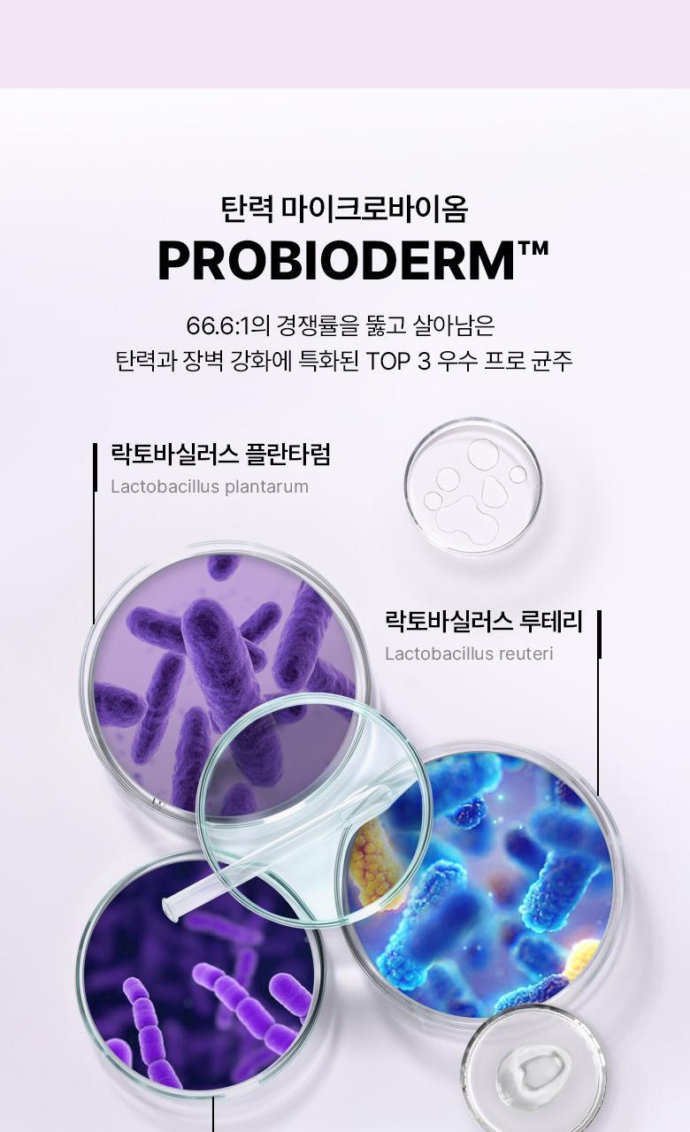韓國 Bio Heal BOH Probioderm Collagen Tightening Capsule Sun Serum SPF 50+ PA++++ 益生菌膠原蛋白緊緻防曬精華 - 50ml
