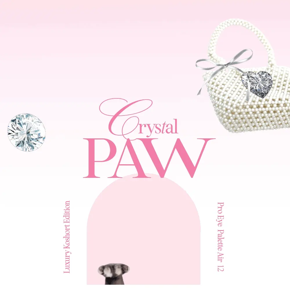 【最新！🐱Luxury Koshort 貓貓 Edition🐱】韓國 CLIO X 俞真 Pro Eye Palette Air 新款12色眼影盤(#01-12) - 12色調選擇