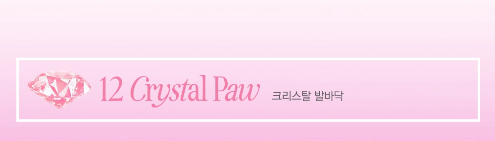 【最新！🐱Luxury Koshort 貓貓 Edition🐱】韓國 CLIO X 俞真 Pro Eye Palette Air 新款12色眼影盤(#01-12) - 12色調選擇