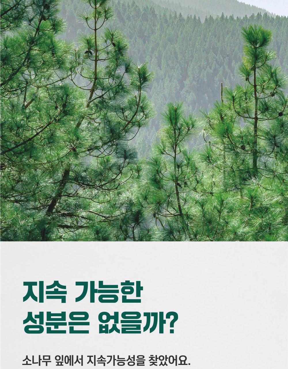 韓國 RoundLab Pine Calming CICA Ampoule 松樹積雪草鎮靜安瓶精華 - 30ml