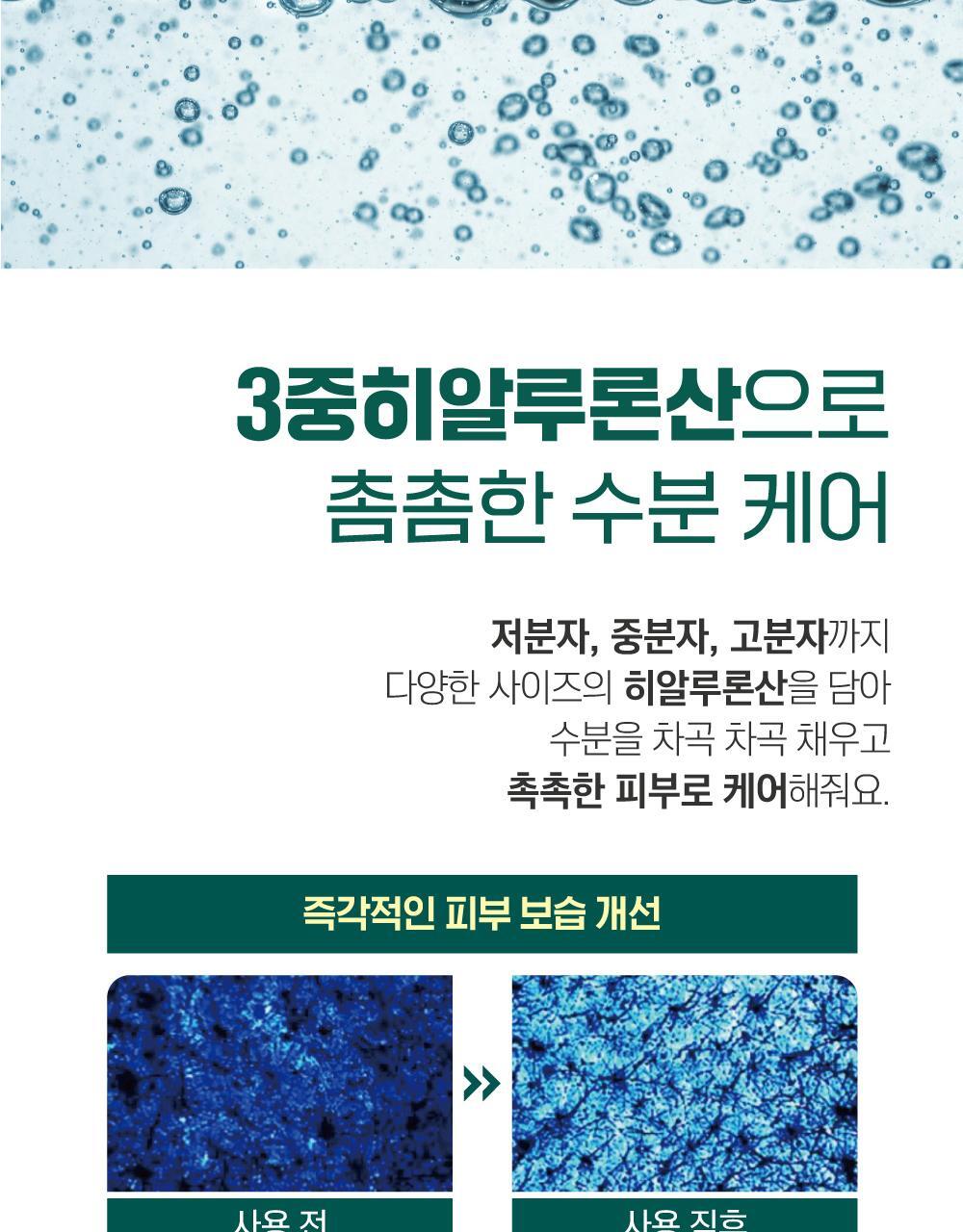 韓國 RoundLab Pine Calming CICA Ampoule 松樹積雪草鎮靜安瓶精華 - 30ml