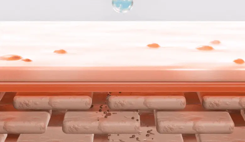 根源解決皮脂粉刺~韓國 numbuzin Pantothenic B5 Active Soothing Cream 活性泛酸B5控油舒緩保濕啫喱面霜 - 80ml