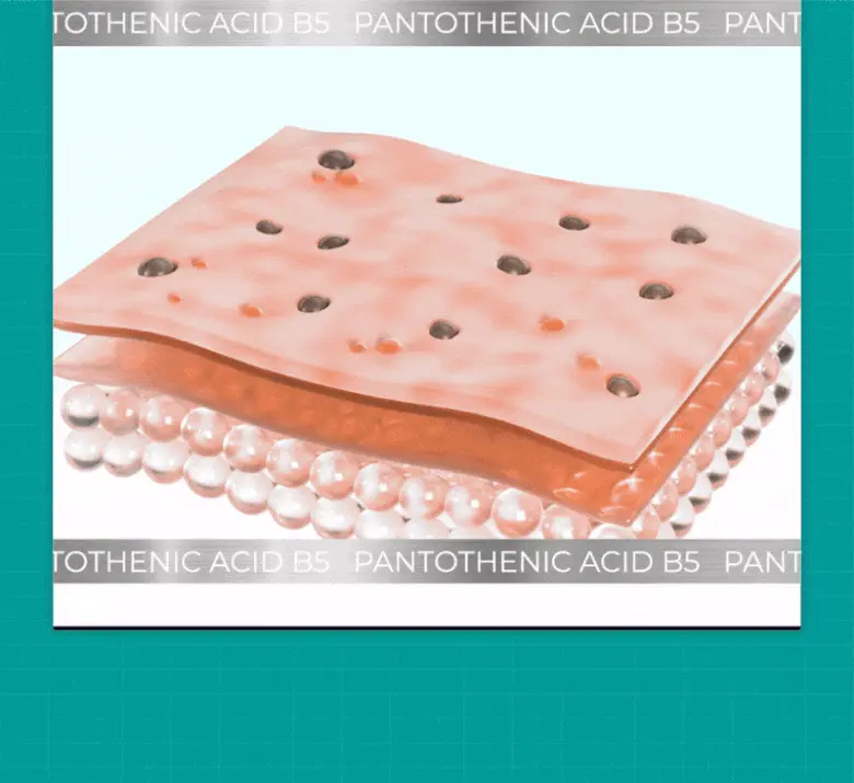 根源解決皮脂粉刺~韓國 numbuzin Pantothenic B5 Active Soothing Cream 活性泛酸B5控油舒緩保濕啫喱面霜 - 80ml