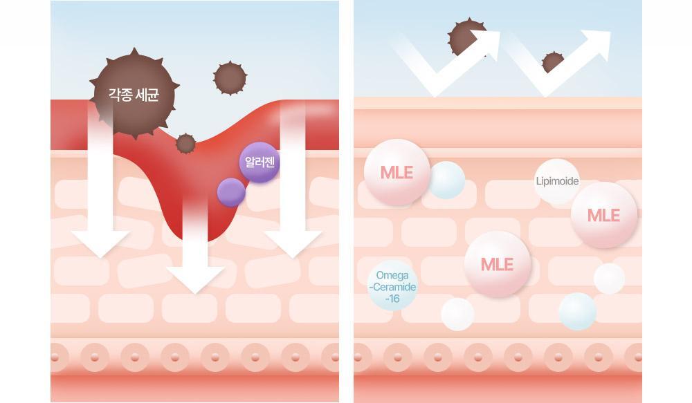 0-99歲都用得!孕婦嬰兒敏感肌~韓國 ATOPALM Essential Care Set 沖涼保濕霜優惠4件套裝(Lotion 200ml + Wash 300ml + Lotion 20ml + Cream 8ml)