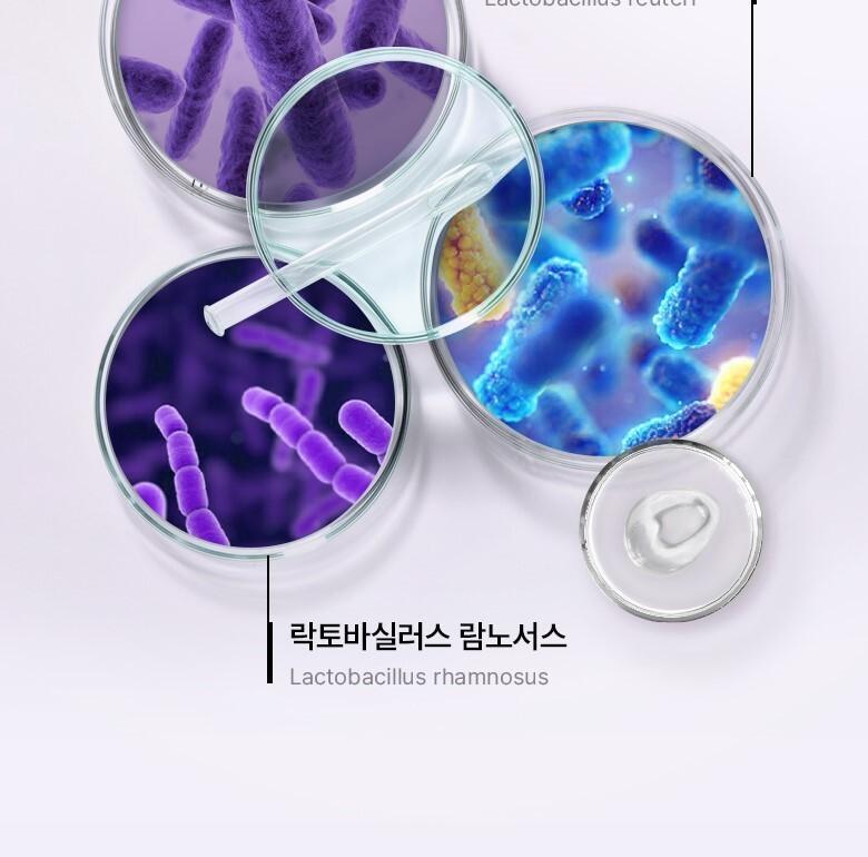 韓國 Bio Heal BOH Probioderm Collagen Essence Sun Cream 益生菌膠原蛋白精華防曬霜 SPF50+ PA++++