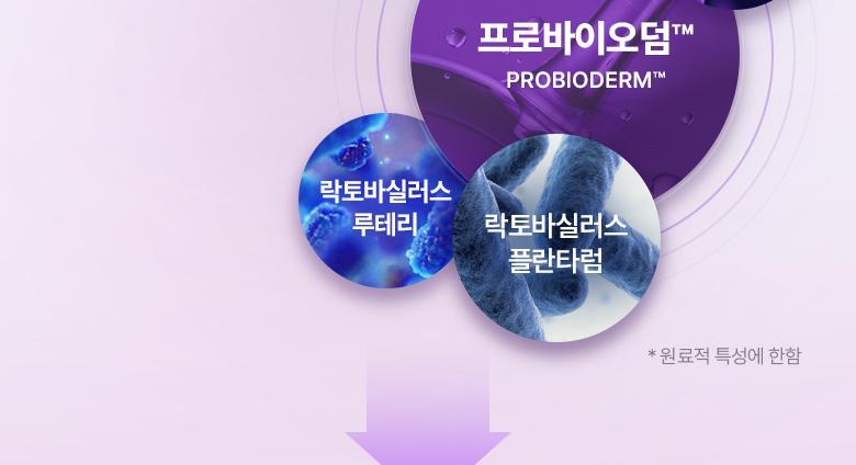 韓國 BioHeal Boh Probioderm Collagen Remodeling Serum Pads 益生菌膠原蛋白精華爽膚棉片 - 70片裝