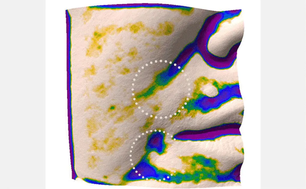 回彈去皺改善下垂~韓國 MediHeal Retinol Collagen Lifting Toner Pad 視黃醇A醇膠原提拉爽膚濕敷棉片 - 100片裝