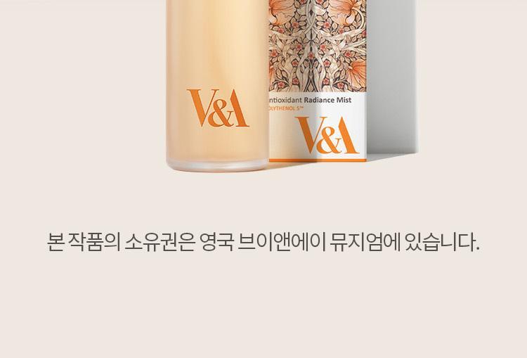 韓國 V&A Antioxidant Radiance Mist 抗氧水亮保濕噴霧 - 100ml