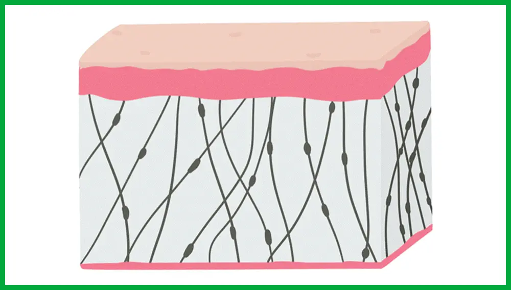 收毛孔平滑凹凸感~韓國Sungboon Editor Green Tomato Pore Boosting Deep Shot Ampoule  綠番茄增強微針高效緊緻收毛孔安瓶精華