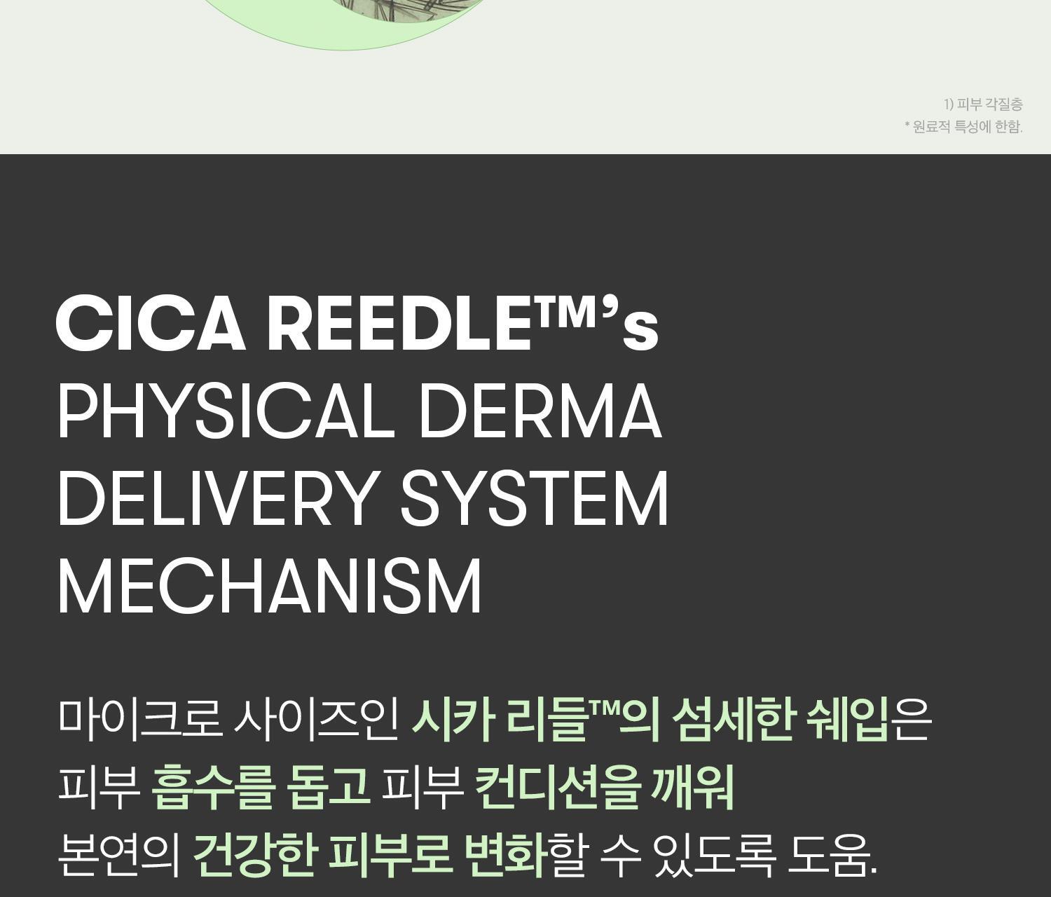 2週重煥肌膚再生~韓國 VT Reedle Shot 700 積雪草塗抹式微針700導入精華 - 30ml