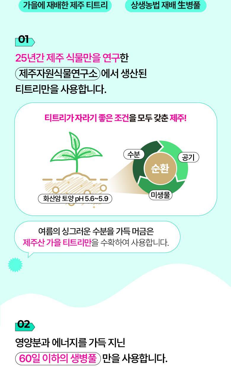 24年新包裝~韓國 Bring Green Tea Tree Cica Tone Up Sun Cushion 茶樹積雪草薄荷清爽涼感防曬氣墊 SPF50+ PA++++