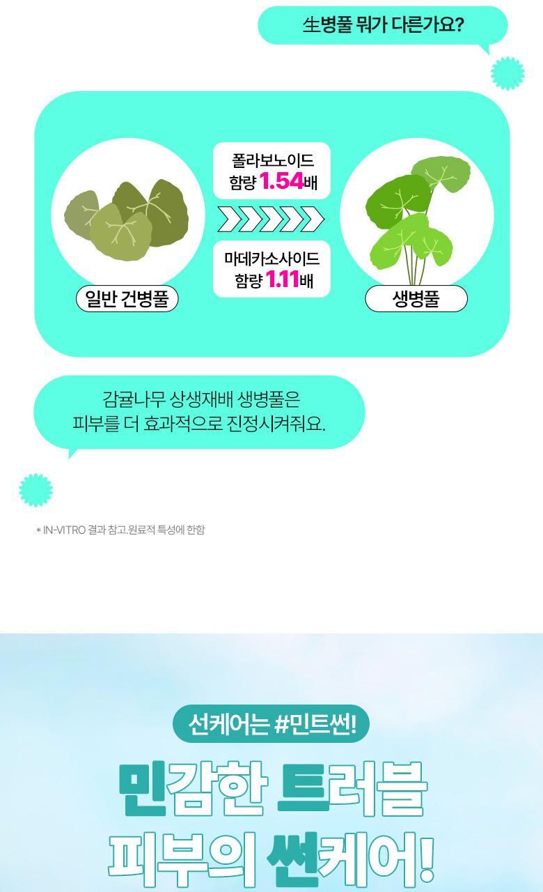 24年新包裝~韓國 Bring Green Tea Tree Cica Tone Up Sun Cushion 茶樹積雪草薄荷清爽涼感防曬氣墊 SPF50+ PA++++