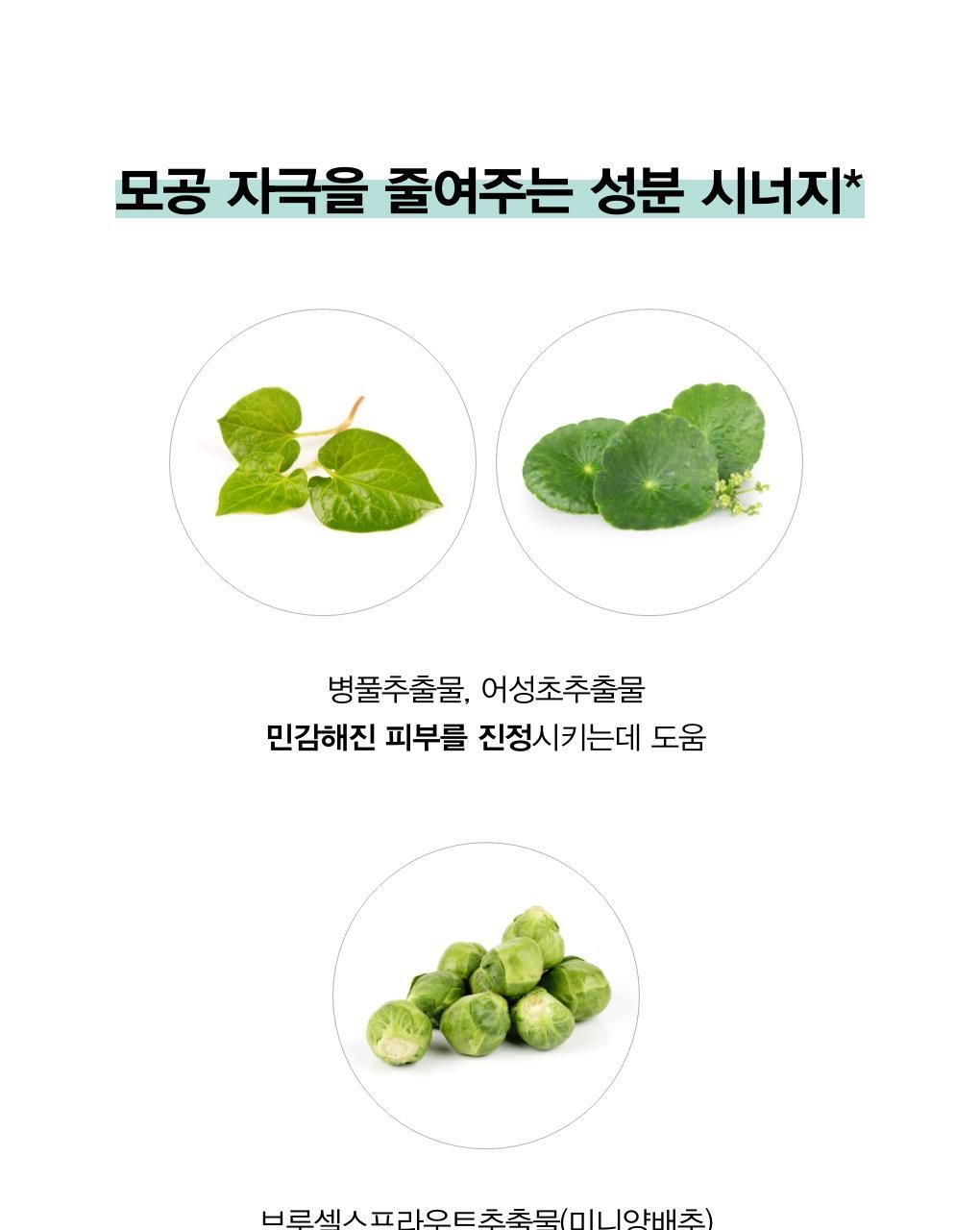 韓國Abib Green Pore Pad Clear Touch 淨毛孔防粉刺暗粒角質護理爽膚棉片 - 60片