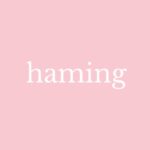 韓國小眾彩妝品牌haming