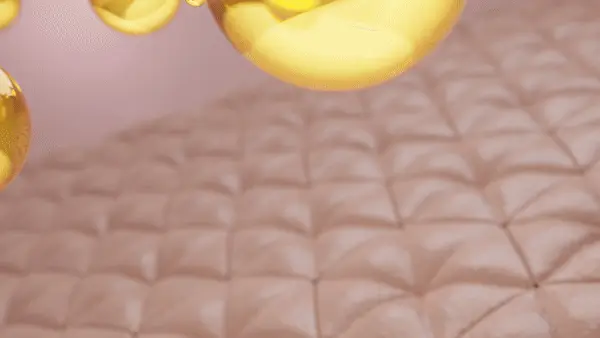 韓國 hetras Mango Seed Butter Lip Essence 1+1 Set芒果籽油修護潤唇精華 2支裝